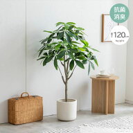 【最大6,000円クーポン配布中】【高さ120cm パキラ】光触媒人工観葉植物 フェイクグリーン 人工 観葉植物…