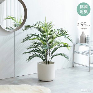 ySSbő6,000~OFFN[|zy95cm AJVzG}lHϗtA tFCNO[ lH ϗtA O[ L R h zAfqh CeA eiXȒP