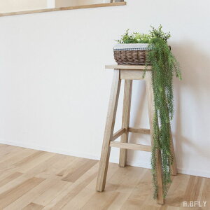 yBF ő6,000~OFFN[|zXc[ EbhXc[ ؐXc[ VR I[N i`eCXg k nC^Cv nCXc[ p^ v^[X^h u O[ ֎q 