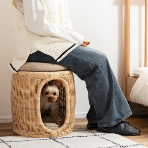 yő6,000~N[|zzzybgnEX LbgnEX hbOnEX Xc[ CX ȈՃCX | ^ VR K i`  RpNg  ybg L ˂   N