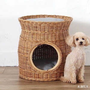 G ybg nEX ^[ oXPbg   ^ AWA i` y R VRf IV NbV p Lp Jg[ Vv AeB[N Q  ӂ 