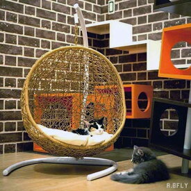 楽天市場 椅子 猫用品 ペット ペットグッズ の通販