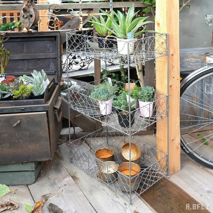 楽天市場 プランター入れ プランター置き 多肉植物 フラワーアレンジメント ラック ステップシェルフ シェルフ ワイヤー スチール ガーデン 収納 道具整理 サニタリー 衣類 シャビーテイスト シルバー A Bfly ア ビーフライ