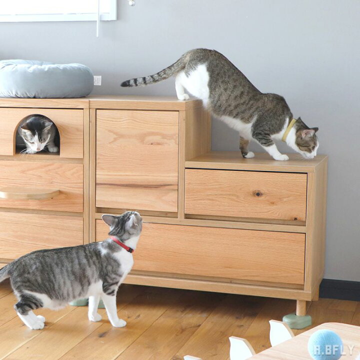 楽天市場】猫 階段チェスト キャットステップ 引出収納 遊び場 