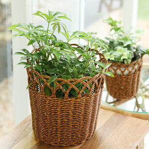 t[|bg oXPbg ҂ AeB[N re[W Be[W Jg[ JtF k  i` AWAeCXg ][g K[f  [ 􂦂o