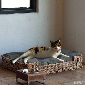 ybgxbh Lxbh }bg NbV \t@[ xbh ˂ cat ^  Rf NbVt lR  L ` ҂ nhCh VRf ybgpi ybgƋ i` 
