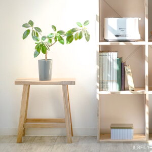 Xc[ | ֎q `FA VR Ebh ؐ Vv i` u ԕru fBXvC JtFeCXg