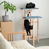 キャットタワー 木製 おしゃれ スリム ウッド シンプル デザイン ペット用品 ペット 猫 cat ステップ ベ…