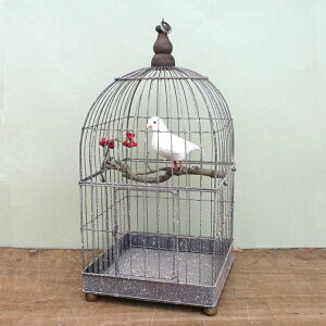 鳥かご スタンドの人気商品 通販 価格比較 価格 Com