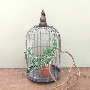 K[f K[fjO GNXeA  o[h G AeB[N Ci A v^[  fR[V ݂艺 Vbv X g  XNGA  JtF ACA X`[