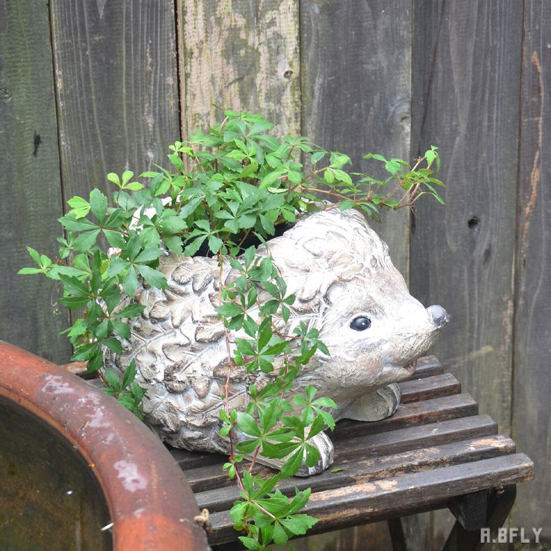 【楽天市場】ハリネズミ 針鼠 はりねずみ フラワーポット 鉢