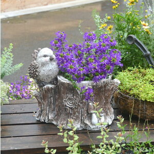   o[h Ƃ t[|bg  v^[  Aj}  u IuWF w b Jg[eCXg Vr[VbN k K[fjO GNXeA AeB[N