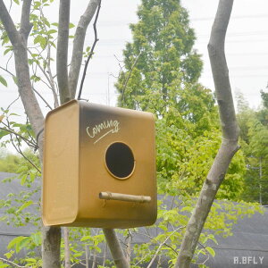 v^[ o[hnEX ̉  o[h K Vr[eCXg AeB[N re[W g Be[WH K[fjO  fBXvC A   CG[ F