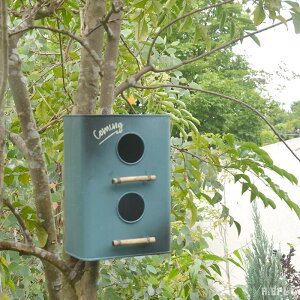 v^[ o[hnEX ̉  o[h K Vr[eCXg AeB[N re[W g Be[WH K[fjO  fBXvC A   u[ F