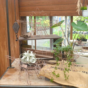 v^[ C[  _Ci\[ `[t K Vr[eCXg AeB[N re[W g Be[WH K[fjO  fBXvC A   j[N