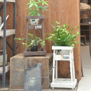 v^[ ֌ `[t K Vr[eCXg AeB[N re[W g Be[WH K[fjO  u v^[X^h fBXvC A   j