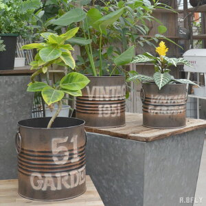 ySSbő6,000~OFFN[|zy3TCYZbgzv^[ Eh ~` t K Vr[VbN Vr[eCXg AW K[fjO GNXeA fBXvC  B