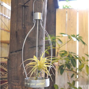 v^[ v^ Vo[ A GAvg ChAK[f K[fjO GNXeA fBXvC 