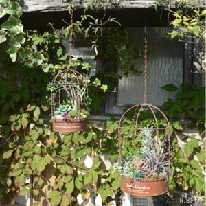 v^[ nMO o[hQ[W   A o[h ݂艺 AW Vr[eCXg AeB[N g K[fjO   re[W nhCh B