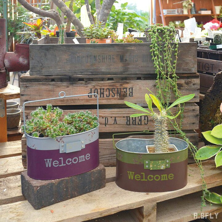 楽天市場】ガーデンポット プランター 鉢 植え込み 多肉植物 