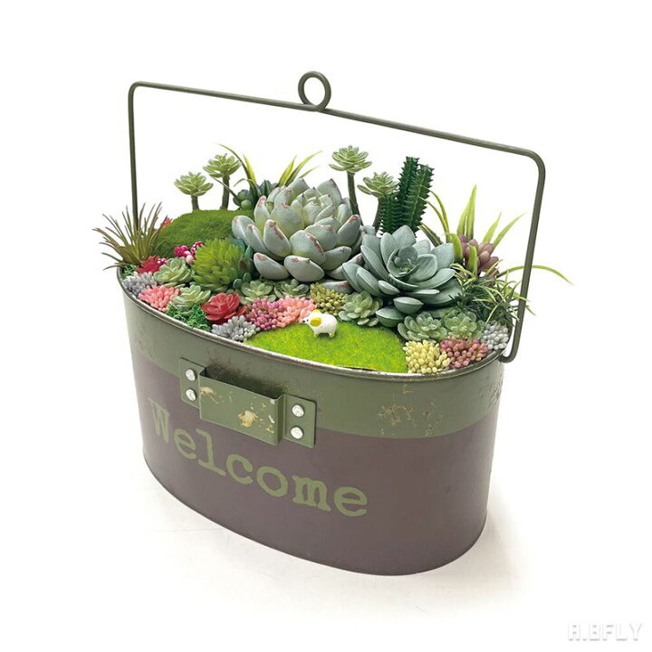 楽天市場】ガーデンポット プランター 鉢 植え込み 多肉植物 