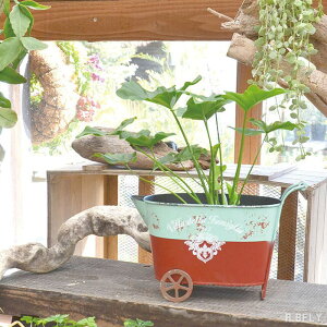 yBF ő6,000~OFFN[|zK[f|bg v^[  A A AWg K[fjO ԗ   AeB[N Vr[VbN Be[W g 