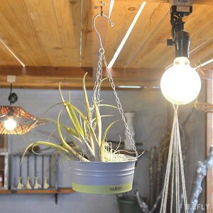 yBF ő6,000~OFFN[|zySALZbgz召Zbg nMO ݂艺 tbN K[f|bg v^[  A A AWg K[fjO  AeB[N