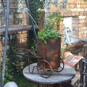 v^[ J[gv^[ Jo[ g  re[W Be[W Vr[eCXg  t[ 񂹐A fBXvC fUC ANZg X`[  ԗ 