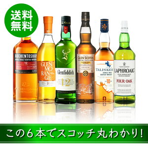  XRbgh Yn 6 ݔ Zbg 6 VO g EBXL[ 50ml 6{  ̂   nC{[ t  Mtg XRb` ۂݔ 蕨 