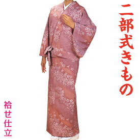 二部式きもの　袷せ仕立　小紋　和装　着物　時印　5734