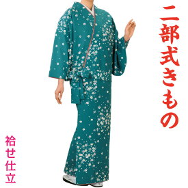 二部式きもの　袷せ仕立　小紋　和装　着物　時印　5783