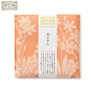 y[ւő250zy쐭XzԂӂ