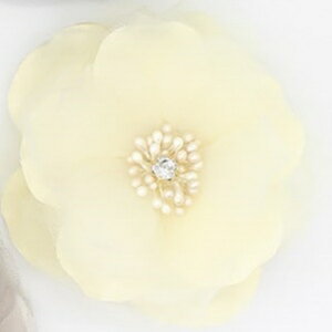 Ǝ  w  RT[W ubN zCg sN x[W lCr[ ANZT[ X[c Ǝ  w  킢   Zj[ s p[eB