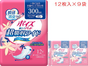 |CY@PApbh Cɏo鑽ʃɈSp 300cc zCh 12×9܃Zbg 1P[X zPApOTCY35cmyAƂpbh AzV[g zpbh pނ {