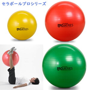 Z{[ vV[YyTHERA-BAND Exercise and Stability Ball Pro Seriesz