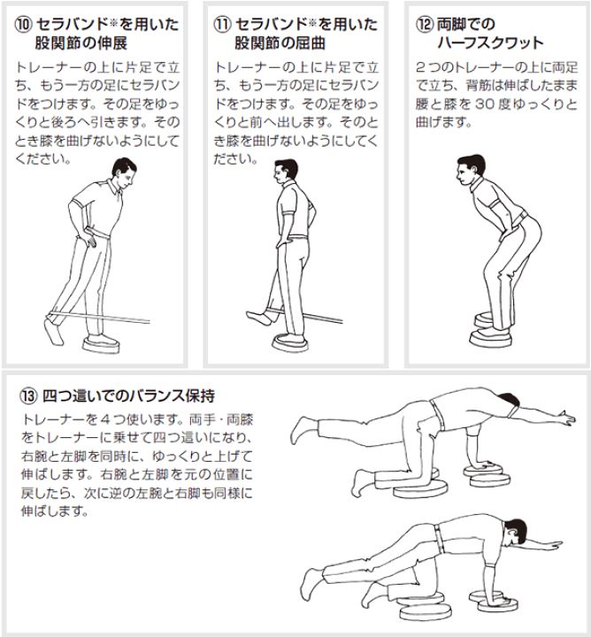 スタビリティートレーニング　基礎編 楽天市場】スタビリティトレーナー【フィットネス/リハビリ/機能