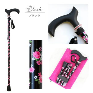 ySiΏہIő2,000~OFFzABISTE Lk܂݃t[vgXebL/2223245- lC Mtg v[g uh ܂ s⏕ ܂肽  Lk VjA ArXe  Xeb