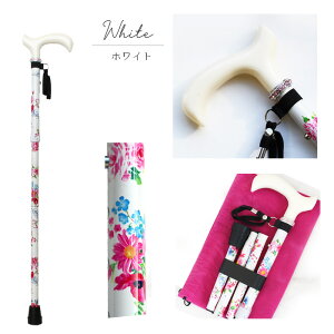 ABISTE Lk܂݃t[vgXebL/2223245- lC Mtg v[g uh ܂ s⏕ ܂肽  Lk VjA ArXe  XebL  