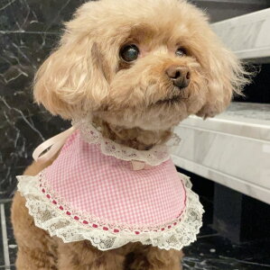 ABISTE ELpANZT[ELpANZT[E`FbNX^C/ttt@bVjX^imofumofu fashionistajybgp