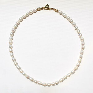 ABISTE WEB Wp[V[glbNX/1240292G uh ArXe Mtg p[eB[  2 Zj[ tH[} IP[W