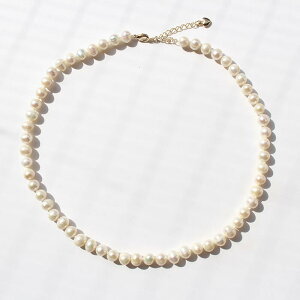 ABISTE Wp[lbNX/1241020 uh ArXe Zj[ p[eB[  tH[} IP[W