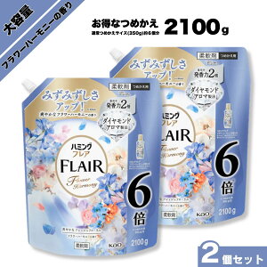 yubNtCf[ԒP10{zn~OtA t[n[j[ e  KW{ lւ 2100g 2Zbg tAtOX _ KW{  ÓdC ߂