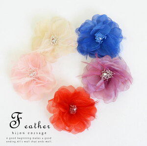 tFU[rW[RT[WiS5Fjyt[ ANZT[ ANZ wAANZ   l p[eB[  q  2 Ǝ tH[}znEB