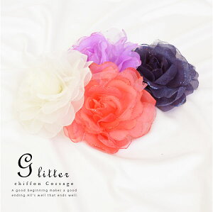 �O���b�^�[�V�t�H���R�T�[�W���y�t�����[ �A�N�Z�T���[ �A�N�Z �w�A�A�N�Z ���� ���l�� �p�[�e�B�[ �傫�� ������ ���q �� 2���� ���Ǝ� �t�H�[�}���z�N���X�}�X