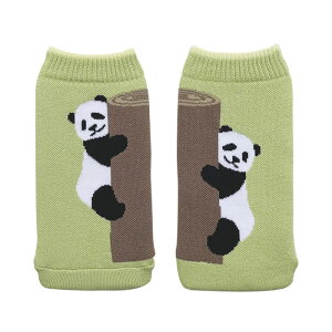 メール便送料無料 アニマル ボトルケース ボトコ botoco 日本製 【 ペットボトルカバー ペットボトルケース アニマル 猫 犬 動物 北欧 500ml 600ml かわいい 靴下 ニット グッズ 水筒ケース 大人