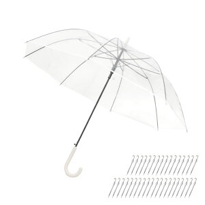 rj[P 36{Zbg  y P JP P Au  65cm 傫 傫 v OXt@Co[ Zbg  y ܂Ƃߔ   36{ Wv rjP rj[  N