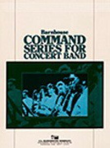 �y�� �y���i�z�y��񎞁A�[��1�T�ԁ`10���z�A�� �A�C�������h�̋�̉� Under an Irish Sky /Neeck�y����E�����ȊO���������z