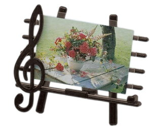 yizy񎞁A[2Tԁ`4Tԁz~[WbNtHgt[y[֕siz