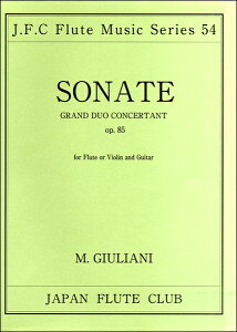 y yizt[gNuȃV[Y054 WA[j t[gƃM^[ׂ̈̃\i^OpD85 