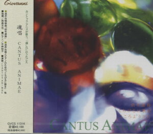 yizy񎞁A[1`3TԁzCD MlȑIW i܂Ђ̂jCANTUS ANIMAEy[֕siz